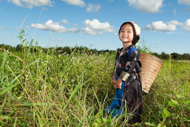 Who is Miao (Hmong)?   - it&itself